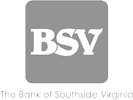 BSV Logo
